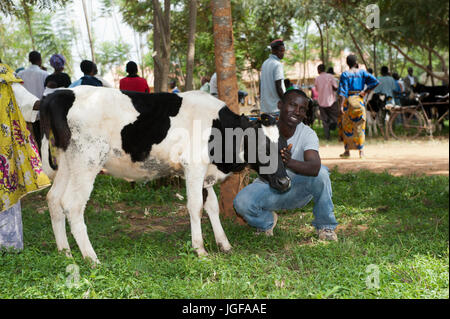 Ruandischen Bauern erhalten eine Milchkuh von einer Wohltätigkeitsorganisation, die mit dem Ziel, die afrikanischen Bauern selbst unterstützen helfen. Stockfoto