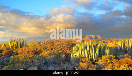 Schöner Panoramablick auf Wüste bei Sonnenuntergang in Teneriffa, Kanarische Inseln Stockfoto