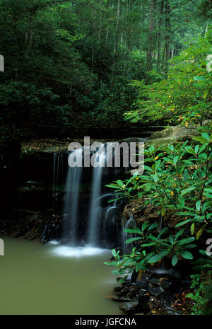 Marsh Gabel Falls, Twin Falls State Park, West Virginia Stockfoto