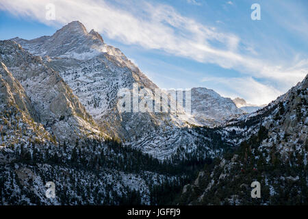 Bäume in der Nähe von Bergen Stockfoto