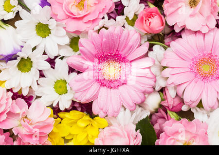 Rosen, Gerbera und Chrysanthemen - bunte Blumen arrangiert als natürlichen Hintergrund mit weißen, gelben und rosa Blüten - schöne Nahaufnahme Stockfoto