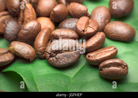 Kaffeebohne auf grünes Blatt Stockfoto