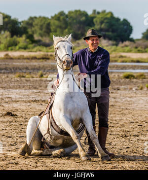 PROVENCE, Frankreich - 9. Mai 2015: Fahrer in der Nähe von seinem weißen Camargue-Pferd. Parc Regional de Camargue - Provence, Frankreich Stockfoto