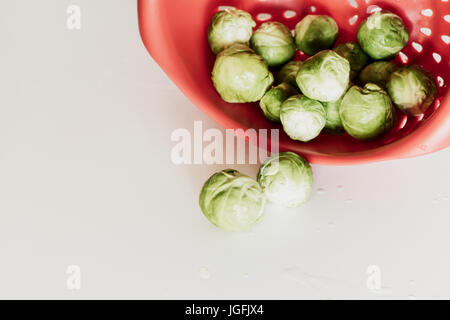 Rosenkohl in einer roten Schüssel auf einem weißen Hintergrund Stockfoto