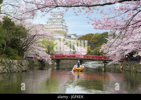 Himeji Castle mit schönen Kirschblüten im Frühling am Hyogo in der Nähe von Osaka, Japan. Burg Himeji ist berühmte Kirschblüte Aussichtspunkt in Osaka, Ja Stockfoto