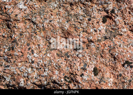 Roter Granit, Nahaufnahme von Eruptivgestein zeigt körnige Struktur und Textur Stockfoto