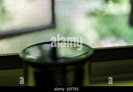 Reflexion des Netzes Fenster- und grünen Laub in Wasser oder Tee auf Fensterbank Stockfoto