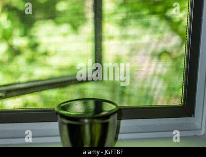 Reflexion des Netzes Fenster- und grünen Laub in Wasser oder Tee auf Fensterbank Stockfoto