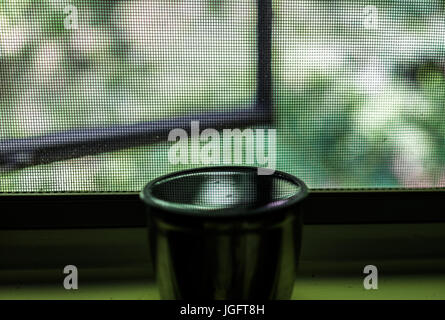 Reflexion des Netzes Fenster- und grünen Laub in Wasser oder Tee auf Fensterbank Stockfoto