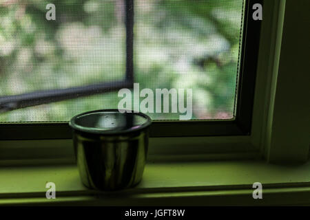 Reflexion des Netzes Fenster- und grünen Laub in Wasser oder Tee auf Fensterbank Stockfoto