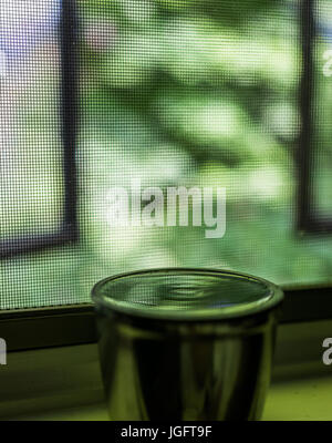 Reflexion des Netzes Fenster- und grünen Laub in Wasser oder Tee auf Fensterbank Stockfoto