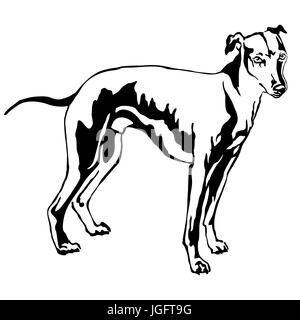 Dekoratives Porträt von stehen im Profil Hund Whippet (Anblick Bracke), Vektor-isolierte Illustration in schwarzer Farbe auf weißem Hintergrund Stock Vektor