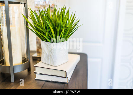 Moderner Raum mit Anlage auf Bücher auf Tisch im Zimmer Stockfoto