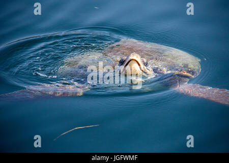 Kefalonia Griechenland Stockfoto