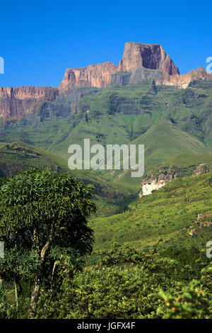 Sentinel Peak Thendele Royal Natal Park uKahlamba Drakensberg Park, KwaZulu-Natal, Südafrika Stockfoto