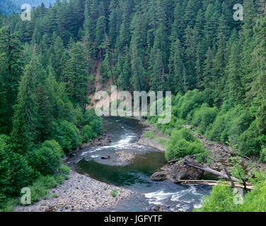 USA, Oregon, Mount Hood National Forest, obere erstreckt sich des Flusses Clackamas von Riverside National Recreation Trail gesehen. Clackamas River Stockfoto