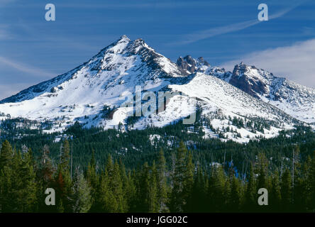 USA, Oregon, Deschutes National Forest, Herbst Schnee an der Spitze gebrochen. Stockfoto