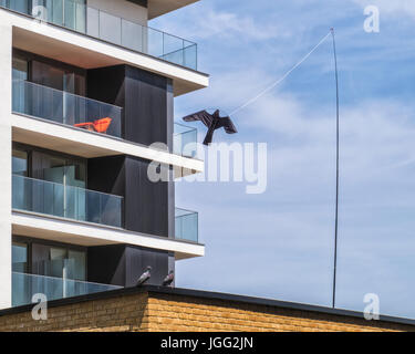 London, Greenwich, Großbritannien. 6. Juli 2017. Hawk Kite Vogel Nageltiereverscheucher installiert ist auf Dach Wohnung Neubau von Balkonen und Garten Tauben zu jagen. Zwei Tauben Auge die neuen fliegende Bewohner ohne Schein zu Credit beunruhigt: Eden Breitz / Alamy Live News Stockfoto