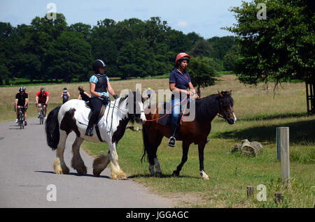 London, UK. 7. Juli 2017. Genießen Sie die Sonnenstrahlen im Richmond Park Credit: JOHNNY ARMSTEAD/Alamy Live News Stockfoto