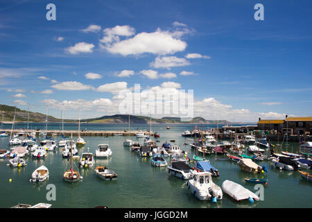 Hafen in Lyme Regis mit vielen Boote verschiedener Typen mit Blick auf charmouth der Dorset coast. Stockfoto