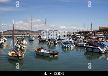 Hafen in Lyme Regis mit vielen Boote verschiedener Typen mit Blick auf goldene Kappe an der Küste von Dorset. Stockfoto