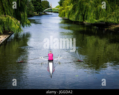 Reife Frau Rudergerät Rower - Eine reife weibliche Rower sculls auf der Great Ouse Fluss in Bedford GROSSBRITANNIEN Stockfoto