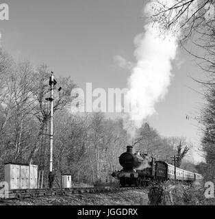 Dampfzug auf der South Devon Railway, nähert sich Staverton, gezogen von GWR 2251 Klasse 0-6-0 Nr. 3205. Stockfoto