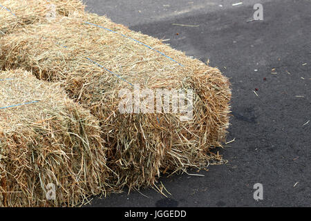 Heu Ballen Sitze Stockfoto