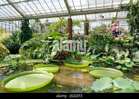 Prinzessin Diana Gewächshaus in Kew Gardens London UK Stockfoto