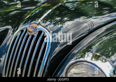 Grill und Scheinwerfer eines Jahrgangs Jaguar XK 140 Stockfoto