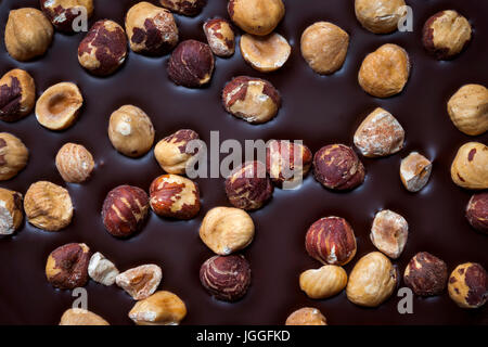 Handwerklichen dunkle Schokolade mit ganzen Haselnüssen als Hintergrund, Nahaufnahme. Stockfoto