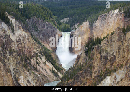 Blick auf die Lower Falls aus Sicht des Künstlers im Yellowstone National Park Stockfoto