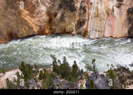 Draufsicht auf den Yellowstone River fließt durch den Grand Canyon des Yellowstone, Yellowstone-Nationalpark Stockfoto