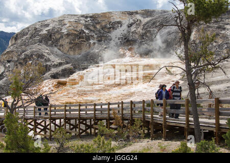 Menschen gehen auf der Promenade in der Nähe von Mound Terrasse in Mammoth Hot Springs, Yellowstone-Nationalpark Stockfoto