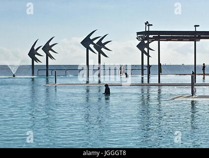 Cairns Esplanade Badelagune ist wie ein öffentliches Schwimmbad ist aber nicht wirklich einen Pool, sondern es ist eine saubere und gepflegte Salzwasser-Lagune. Stockfoto