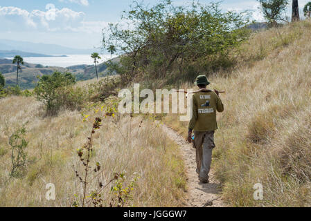 Wandern im Komodo Nationalpark Komodo Indonesien Reiseführer Stockfoto