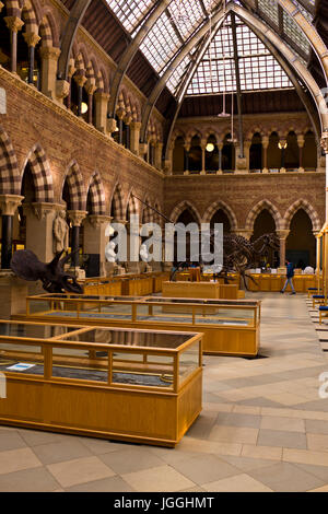 Museum der Naturgeschichte, Menschheit, Geologie, Zoologie, Oxford, Grat Großbritannien Oxford Stockfoto