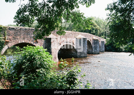 Die Brücke bei Bickleigh, Devon, England, am Fluss Exe, nördlich von Exeter Stockfoto