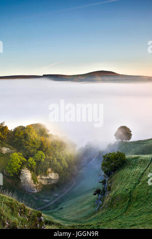 Dale Höhle; Misty Morning; Derbyshire; UK Stockfoto