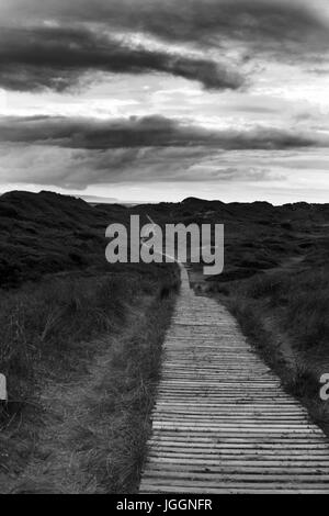 Boardwalk durch Braunton burrows Sanddünen Stockfoto