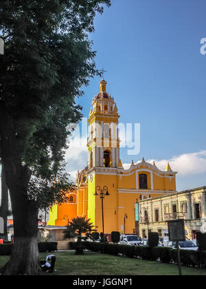 Leuchtend gelbe Fassade der Kirche San Apostolo auf dem Zocalo in Cholula, Mexiko betrachtet über Rasen und Sträuchern vor blauem Himmel Stockfoto