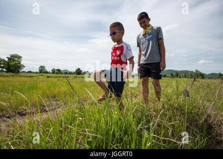 Kinder zu Fuß in ein Feld in Thailand Stockfoto