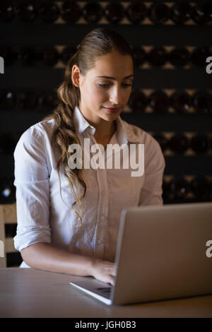 Schöne Frau mit Laptop am Schalter im CafÃƒÂ © Stockfoto