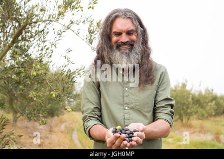 Glücklicher Mann hält geerntete Oliven in Hof Stockfoto