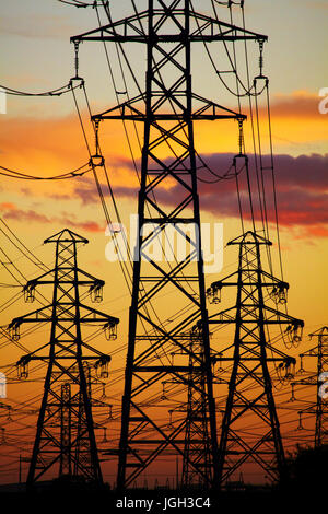 Strommasten bei Sonnenuntergang, Christchurch, Canterbury, Südinsel, Neuseeland Stockfoto