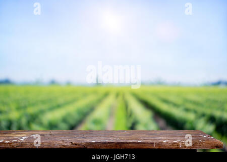 Leere rustikale Top Holztisch im Gripening Soja Field. Für landwirtschaftliche oder Produkt Display Montage. Stockfoto