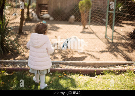 Babymädchen mit einem rosa Jacke und Kleid im Zoo feeds Pfauen Stockfoto