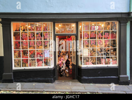 Historische Gebäude in Elm Hill, The Bear Shop, Norwich, Norfolk, England, UK Stockfoto