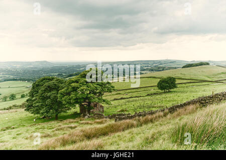 Die Ruinen von Roach Ende Scheune an das BAV die Kakerlaken in der Peak District National Park in Staffordshire Stockfoto