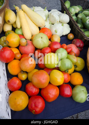 Squash und Tomaten auf Bauern Markt Tisch Stockfoto